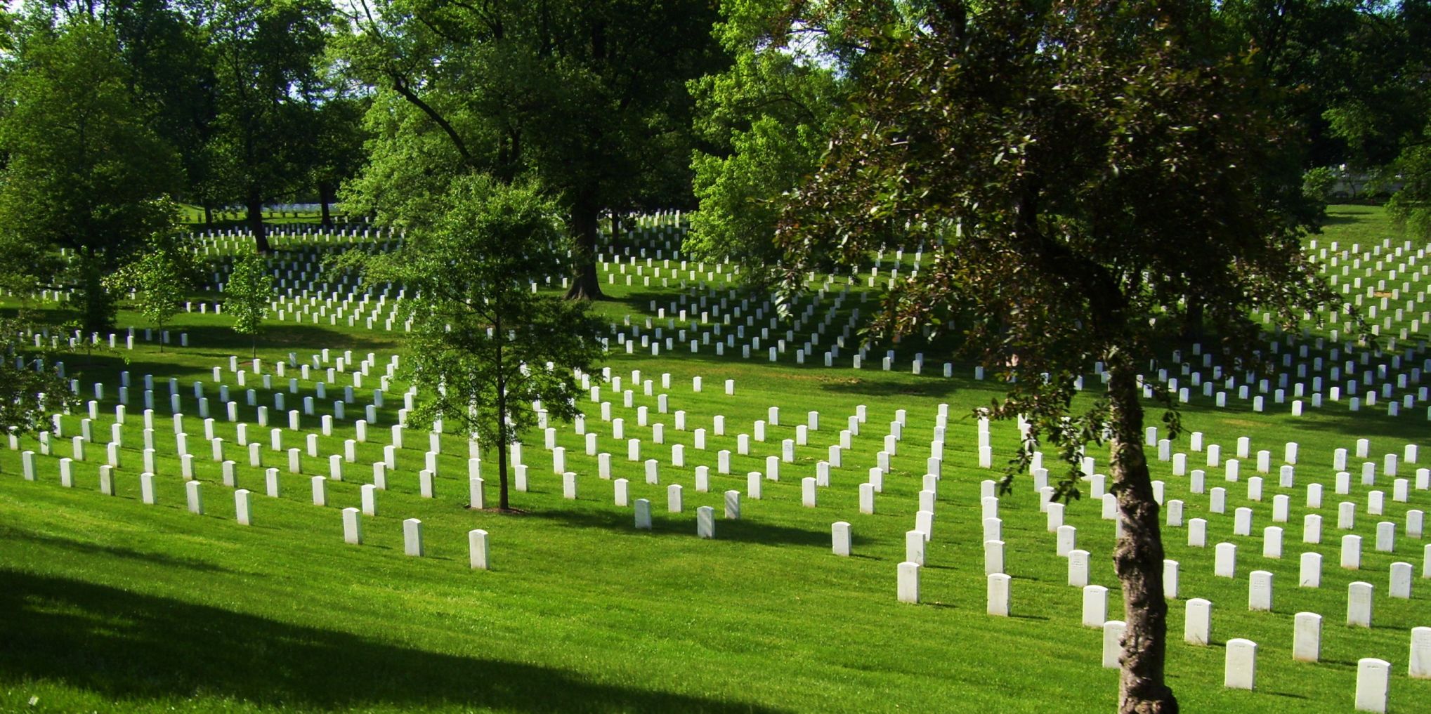 Arlington Cemetery